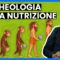 NASCITA DELLA NUTRIZIONE – L’Archeologia della Nutrizione