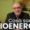 Cosa sono le Bioenergie