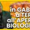 POLLO, QUALE SCEGLIERE?